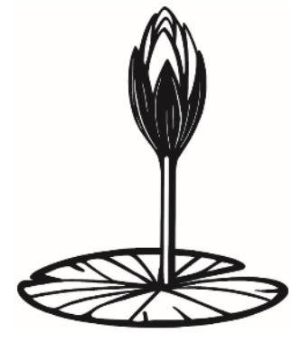 শাপলা কলি প্রতীক