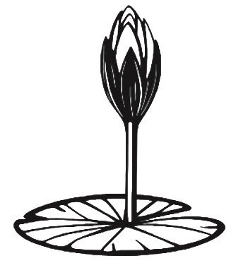 নাহিদ ইসলাম - ঢাকা ১১ এলাকার প্রার্থী